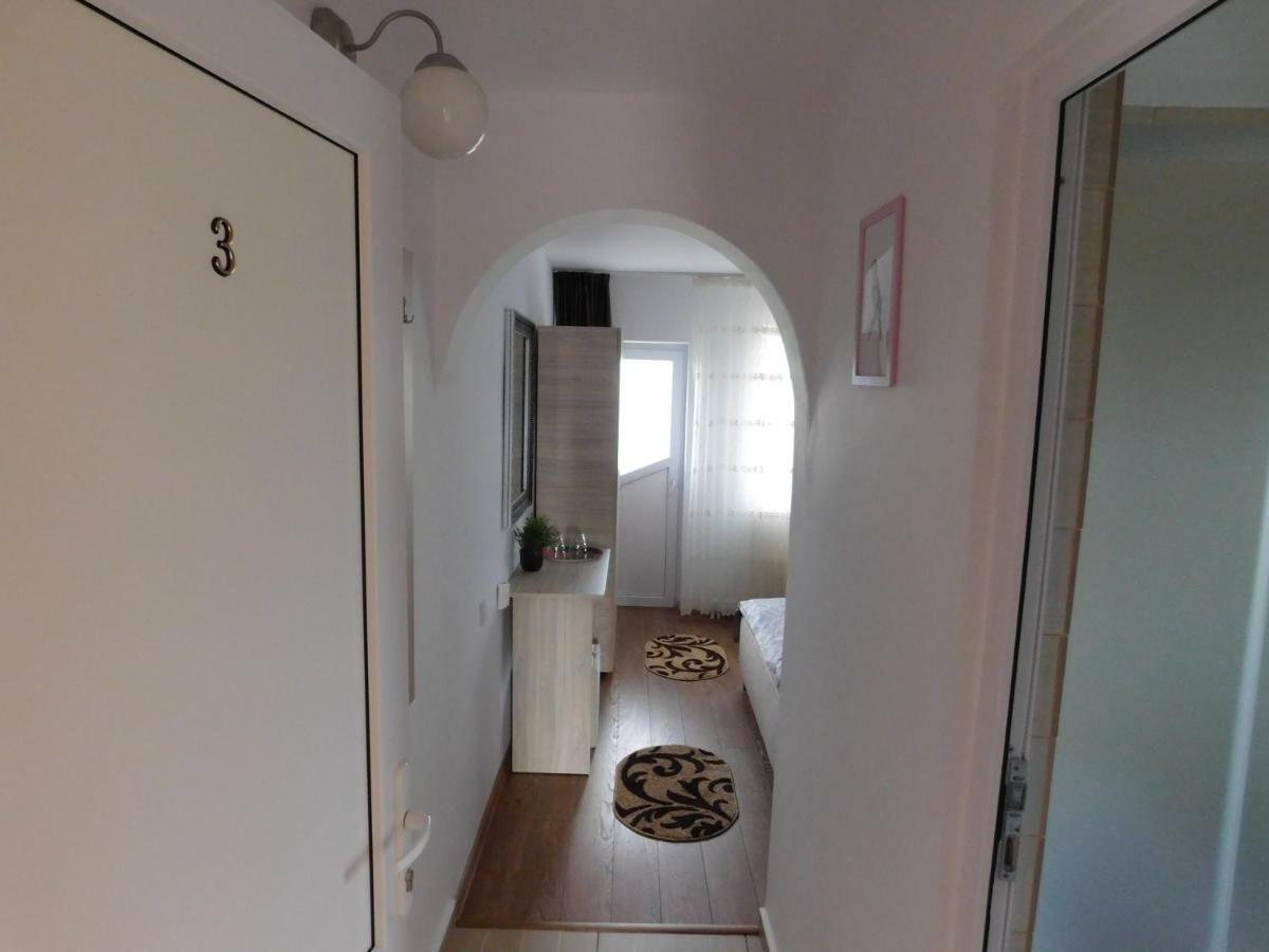 Pensiunea Casa Domnitei Baia de Fier Exterior foto