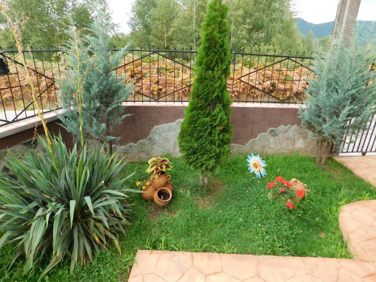 Pensiunea Casa Domnitei Baia de Fier Exterior foto