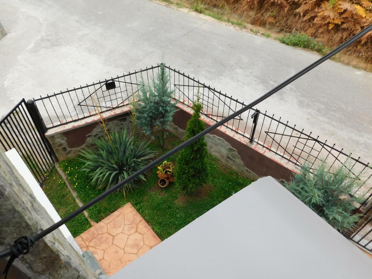 Pensiunea Casa Domnitei Baia de Fier Exterior foto