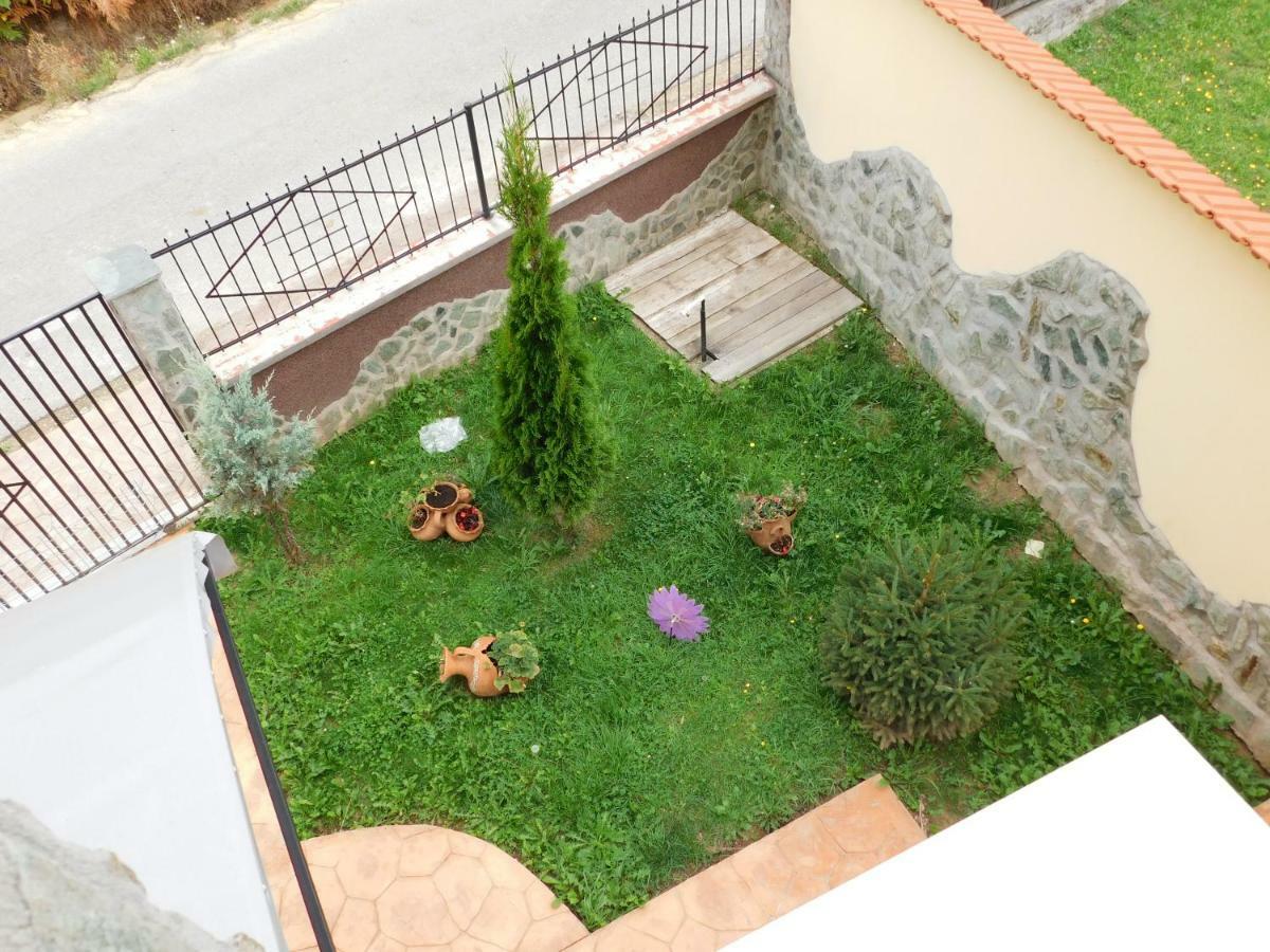 Pensiunea Casa Domnitei Baia de Fier Exterior foto