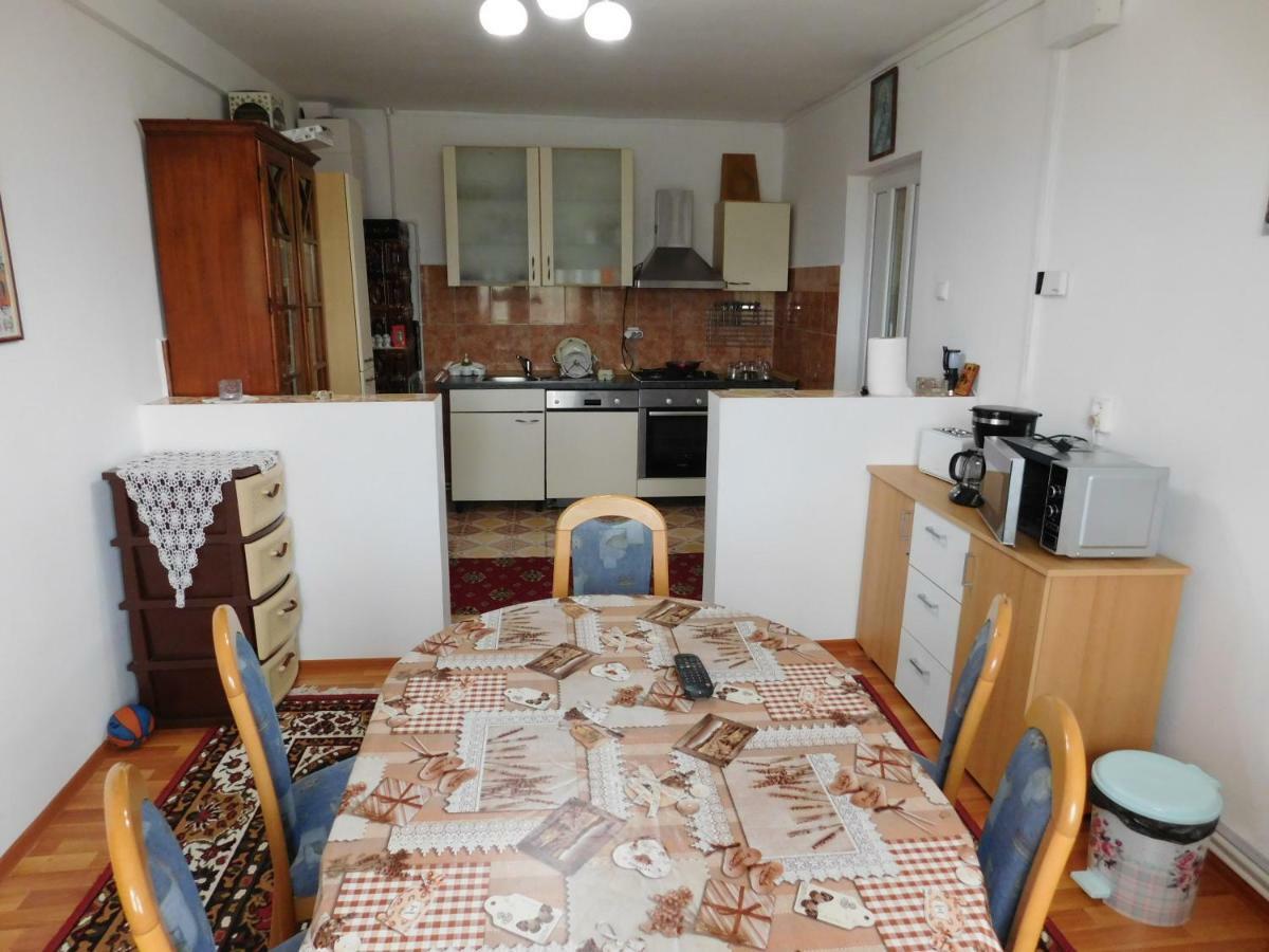 Pensiunea Casa Domnitei Baia de Fier Exterior foto