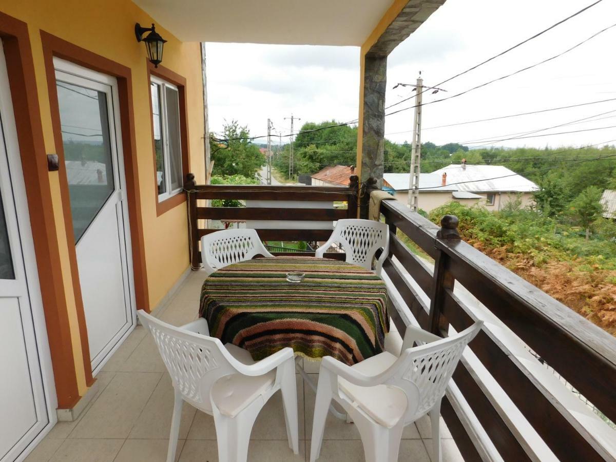 Pensiunea Casa Domnitei Baia de Fier Exterior foto