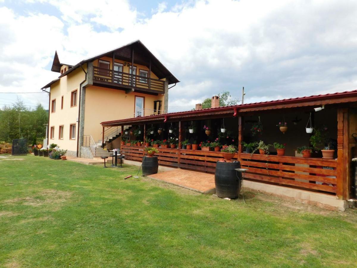 Pensiunea Casa Domnitei Baia de Fier Exterior foto